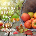 4 Quick Tips For A Healthy, Happy Thanksgiving